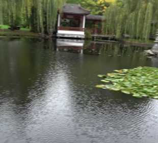 Chinesischer Garten