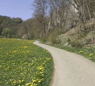 Waldlehrpfad an der Lauter