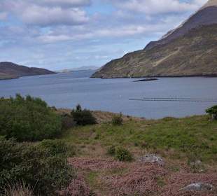 Killary-Fjord 