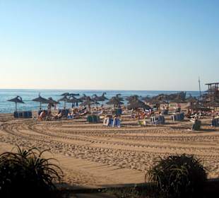 Son Moll Bucht morgens