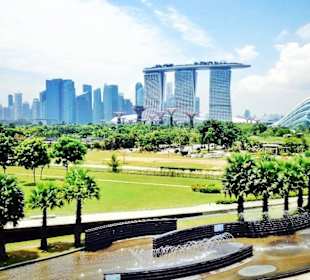 Ulotka krajobrazu Signapore