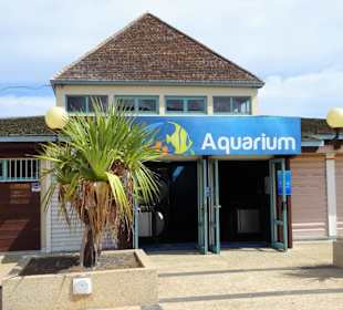 Zugang zum Aquarium de La Réunion