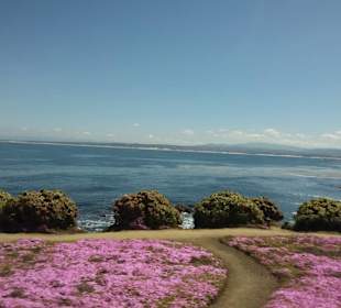 Auf den Spuren der Siedler