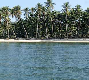 Ein Strand in der Nähe