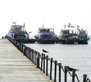 Die gepflegte Boots-Flotte