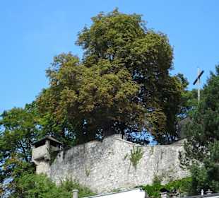Die Hettwer-Bastion von der Salzach aus gesehen