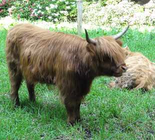 Impressionen vom Rundweg durch den Park