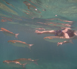 Überall sind Fische und das Wasser war ganz toll