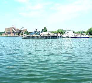 Apollo Tagestour zur Greifswalder Oie 