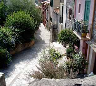 Altstadt von Collioure