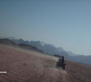 Quad dans le désert