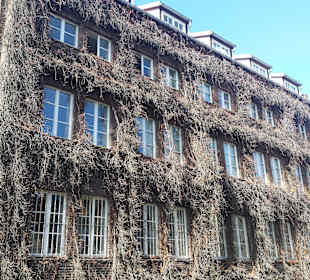 Stare Miasto Gdańsk