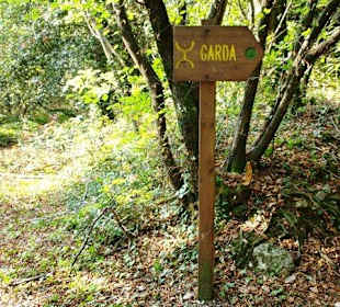 Schild im Wäldchen