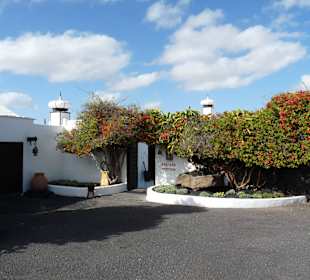 Fundacion Cesar Manrique