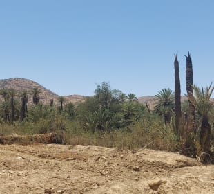 Taroudant und Tiout 