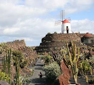 Jardin de Cactus / Kaktusgarten Guatiza