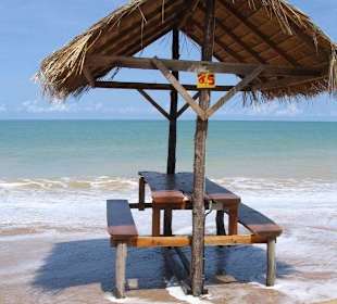 Coconut Grove Restaurante