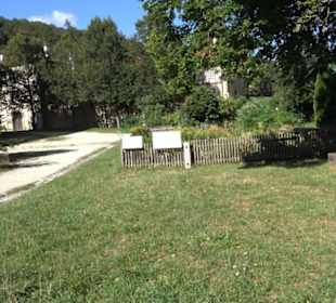 Gestütsgasthof Marbach