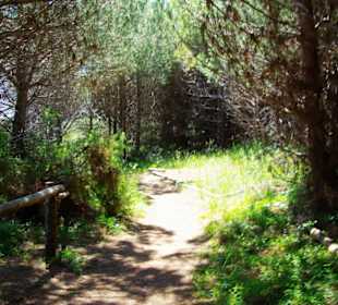 FKK-Weg-Bereiche