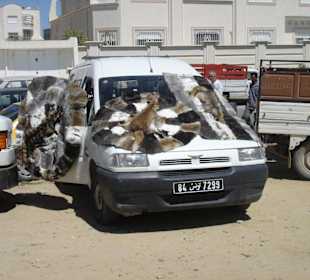 Markt in Monastir