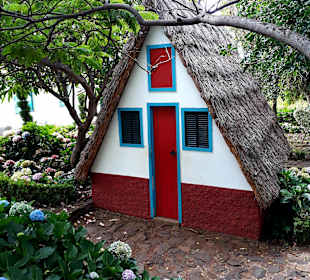 Botanischer Garten