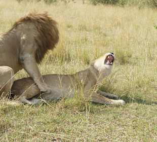 Eh, gehts noch, mach mal langsam