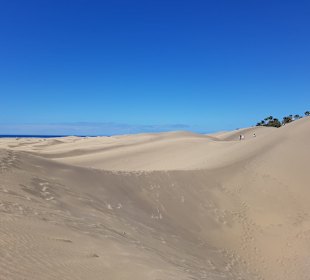 Dünen von Maspalomas