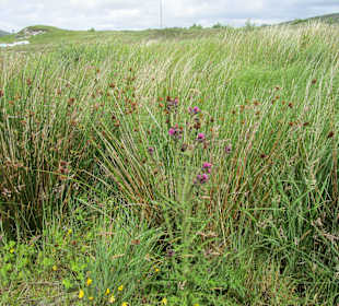 Glenveagh National Park
