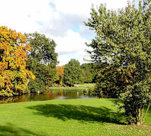 Herbstspaziergang durch den Bürgerpark Bremen