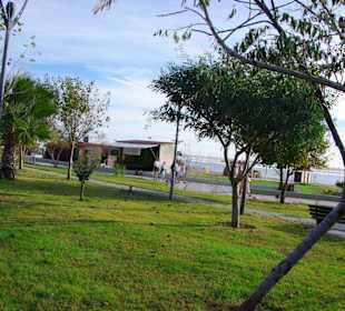 Aufgenommen vom 23.-29.11.2013