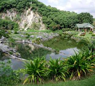 Angelegter Teich vor dem Berg