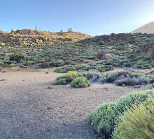 Teneriffa Tour Teide-Nationalpark