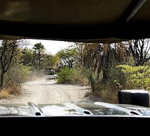 Fahrweg zur Makgadikgadi-Salzpfanne