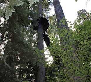 Hochparcours im Wald