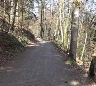 Spazierweg Ritter Museum