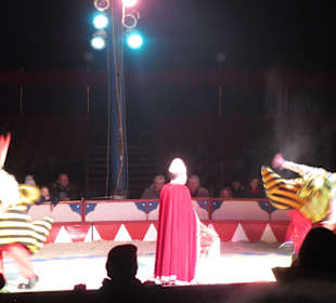Landauer Weihnachtcircus 2016