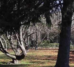 Palacio Real de el Pardo