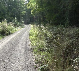 Wanderung Sulzeiche ins Schaichtal Walddorf