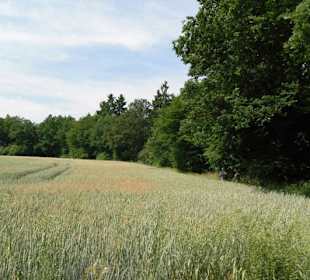Weg zum Klettersteig