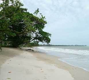 Withe Sand Beach