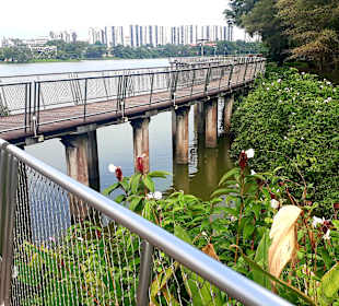 Jurong Lake und Gärten