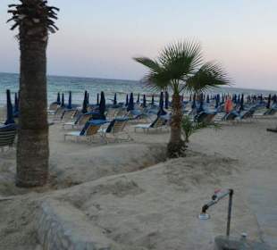 Vergleich erstes Bild