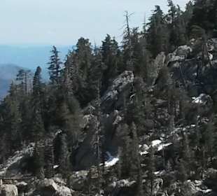 Wanderwege Mount San Jacinto