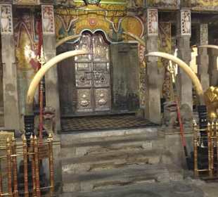 Tour mit Randika 