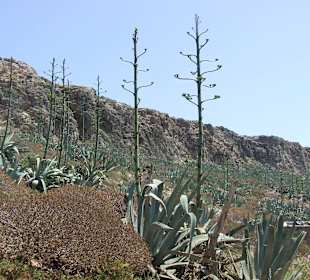 Wzórze  wyspy Gramvousa