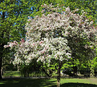 Rundgang durch den Bürgerpark Braunschweig