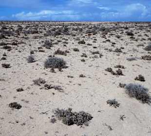 Eindrücke von der Wanderung durch den Istmo