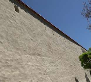 Rosengarten Nördlingen