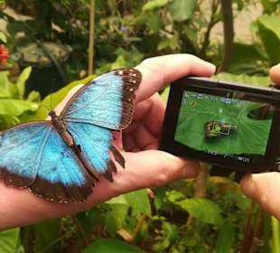 Fotograph bekommt Hilfe