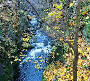 Entlang der Bode